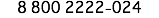 8 800 2222-024