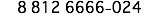 8 812 6666-024